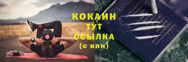 шишки Краснотурьинск