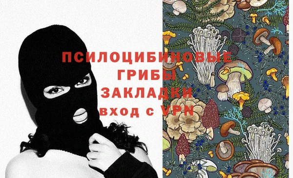 сатива Красноперекопск