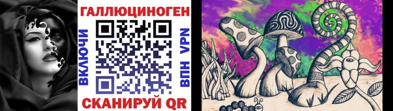 Галлюциногенные грибы мицелий  Александров 