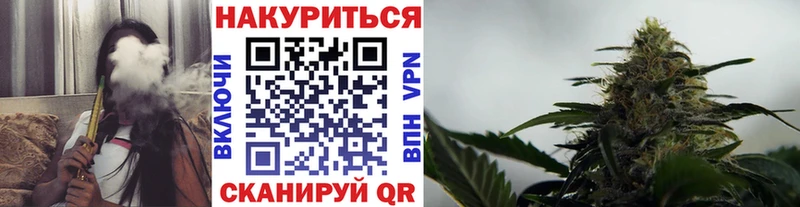 Конопля гибрид  где купить   Александров 